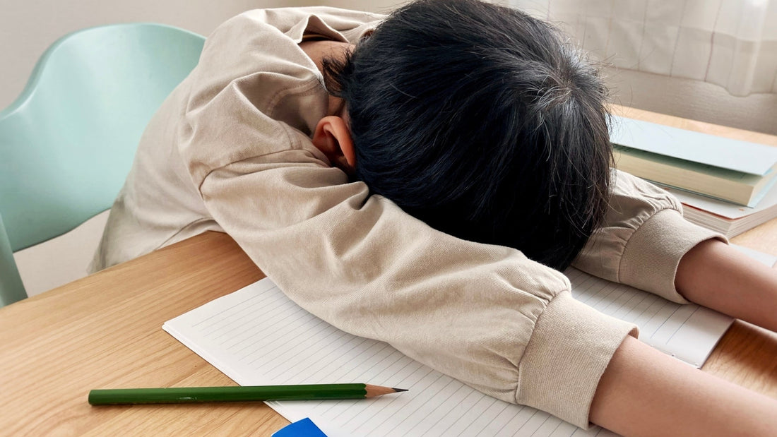 子どもが勉強や習い事を継続できない理由｜親が知っておきたいモチベーションの科学｜子育て勉強会TERU