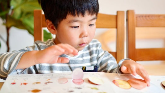 モンテッソーリ園だと協調性が育たない？小学校で苦労しないための家庭での関わり方｜子育て勉強会TERU