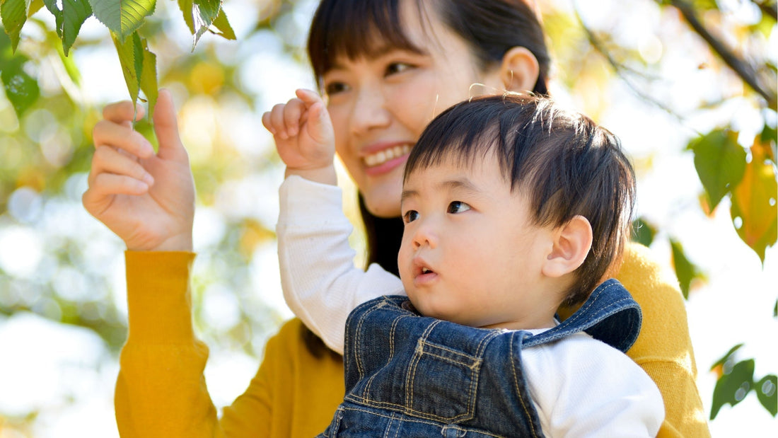 0〜2歳の子どもに何をすべき？脳科学でわかる効果的な家庭教育法｜子育て勉強会TERU
